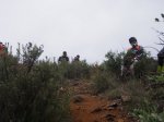 PB291554.JPG