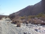 100_6398.jpg