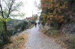 IMG_6105_resize.JPG