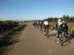 BICI2.jpg