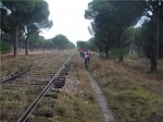 marcha3.jpg