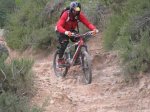 IMG_3387peke.jpg