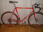 Pinarello Cadore.jpg