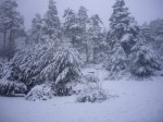 fotos9.JPG