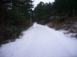 fotos3.JPG