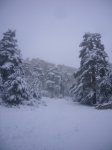 fotos10.JPG