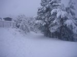 fotos12.JPG