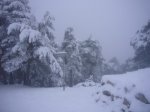 fotos13.JPG