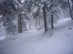 fotos16.JPG