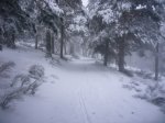 fotos17.JPG