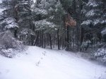 fotos37.JPG
