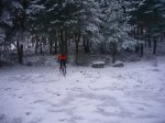 fotos38.JPG