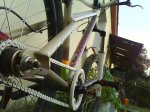 DSC00270.jpg