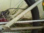 DSC00274.jpg