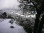 fotos43.JPG