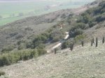 DSCN1054.jpg