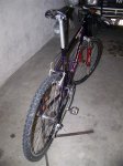 100_4022 (Medium).JPG