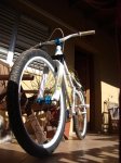 DSC01700.jpg