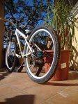 DSC01706.jpg
