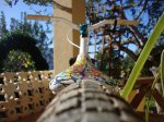 DSC01703.jpg