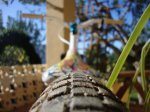 DSC01704.jpg