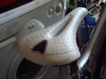 DSC00873.jpg