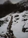 aloÃ±a 1-12 00005.JPG