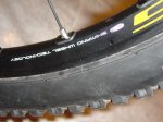 DSC07234.jpg