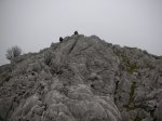 Image_006.JPG