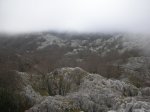 Image_009.JPG