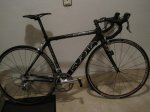 kuota19.jpg