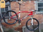 SPECIALIZED PESO.jpg