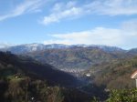 DSC04749.jpg
