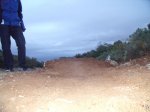 DSCF2154.jpg