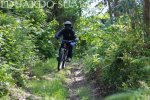 DSC_0060.jpg