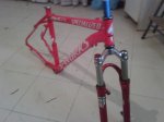 IMG00152-20091113-1640.jpg