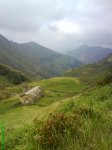 DSC00243.jpg