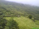 DSC00239.jpg