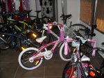 IMG_2417.jpg