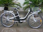Bici Bea.jpg