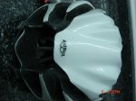 DSC01099.jpg