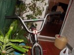 SDC10380.jpg