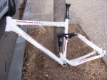 peces bici 018.jpg