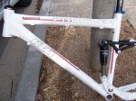 peces bici 019.jpg