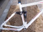 peces bici 021.jpg