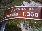 DSC00217.jpg