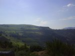 DSC00195.jpg