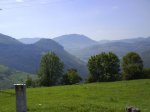 DSC00197.jpg