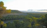 DSCN0653.JPG