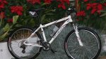 DSC01969.JPG